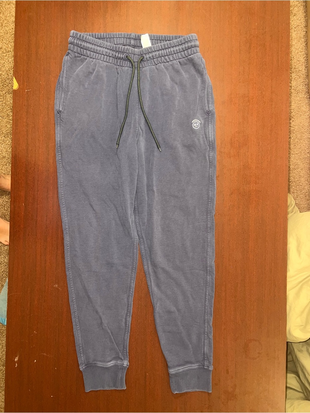 allbirds Slate Blue Joggers with Elastic Waist